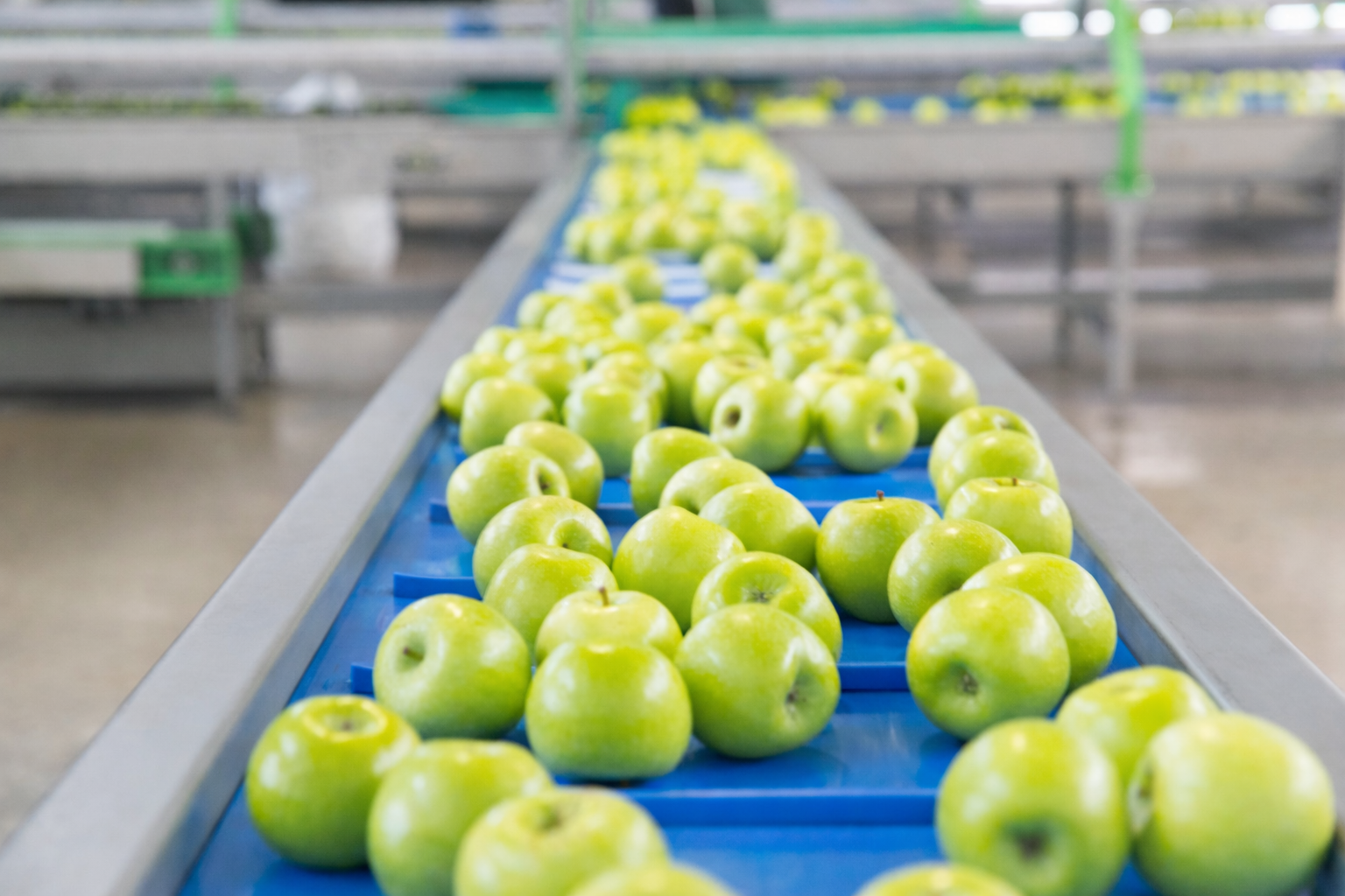 Fresh apples representing food safety and quality